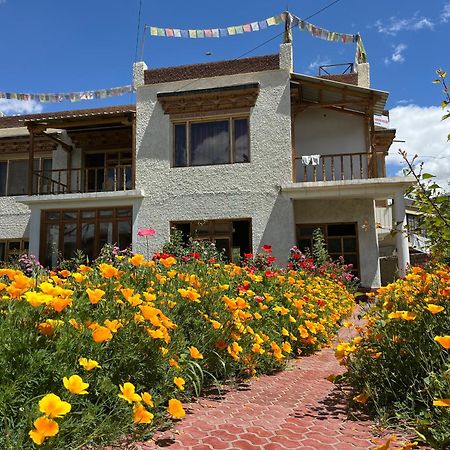 列城 Chakzot Garden House酒店 外观 照片