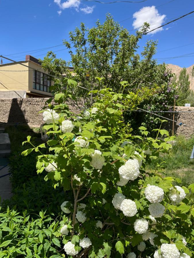 列城 Chakzot Garden House酒店 外观 照片
