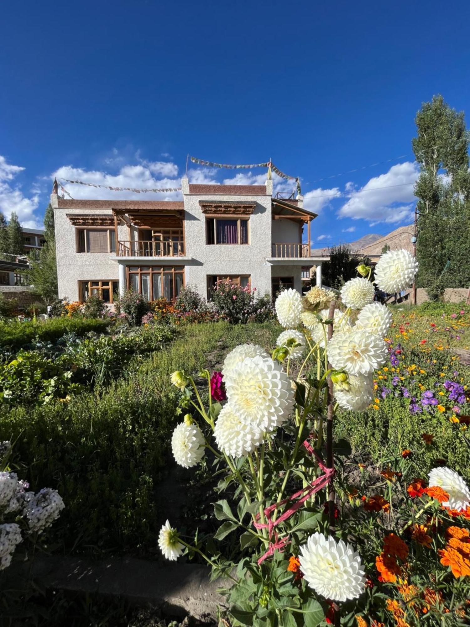 列城 Chakzot Garden House酒店 外观 照片