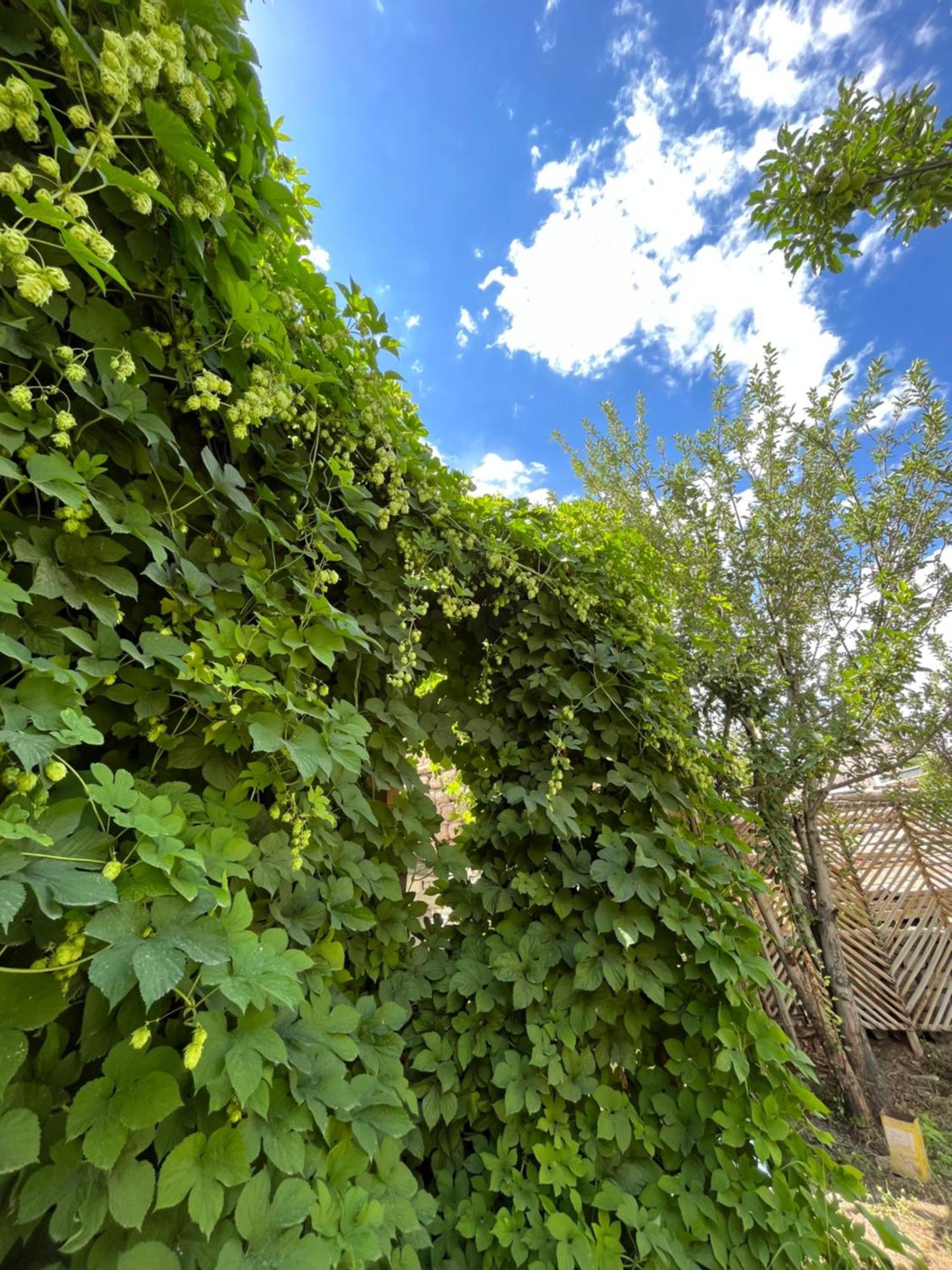 列城 Chakzot Garden House酒店 外观 照片