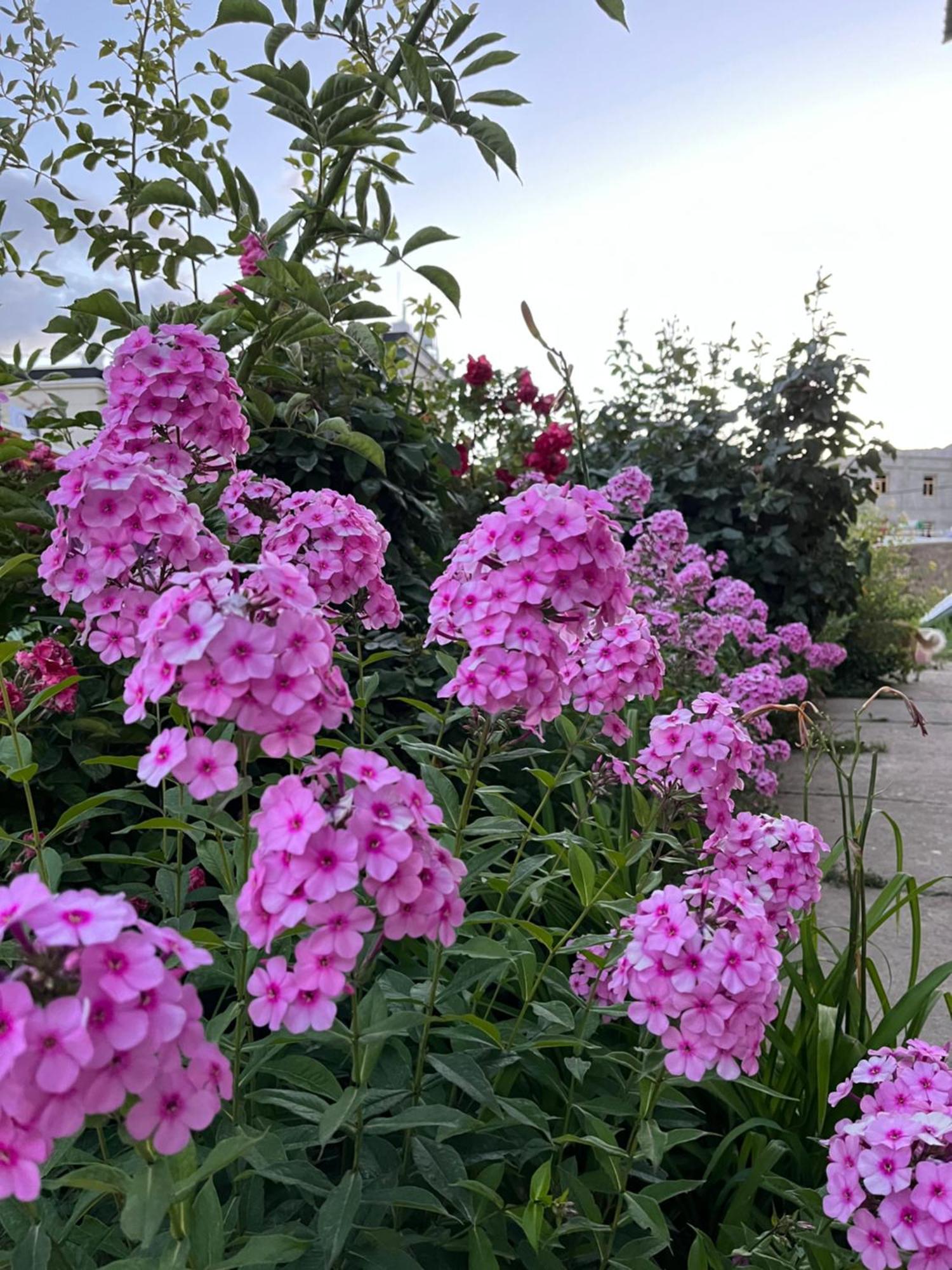 列城 Chakzot Garden House酒店 外观 照片